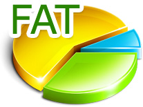 FAT Disk Recovery